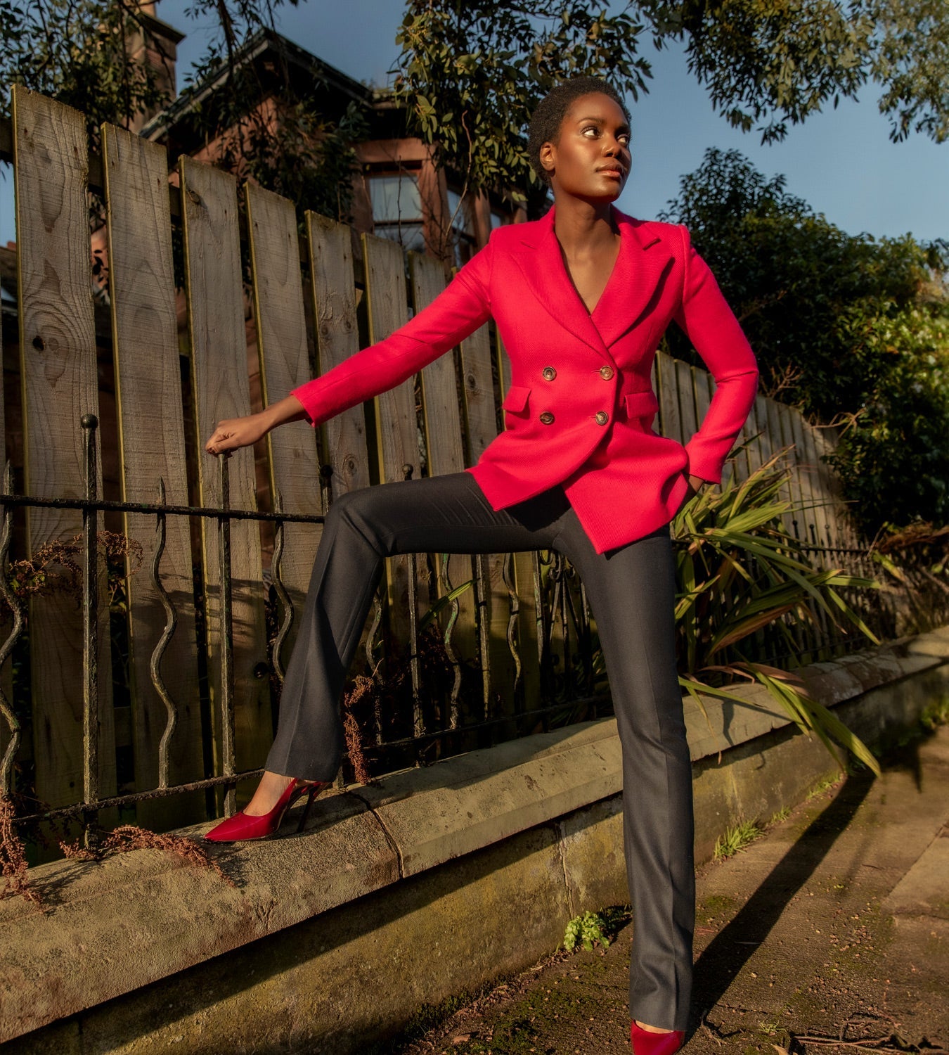 The Mause Collection